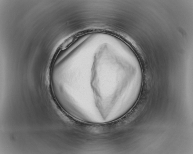 X0000113880791200910151312