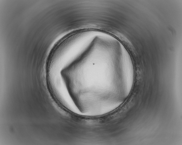 X0000113880792200910151312