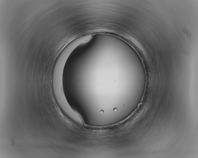 X0000113880793200910151312