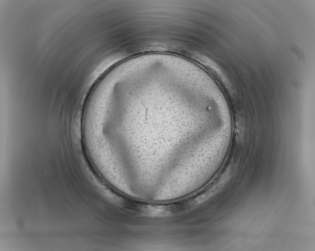 X0000113880794200910151312