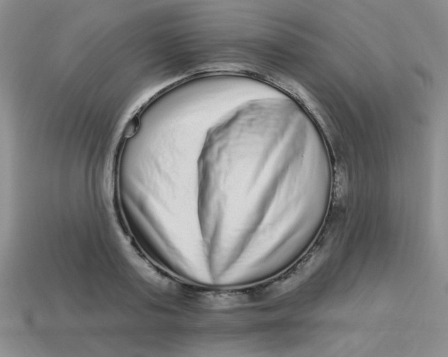 X0000113880795200910151312