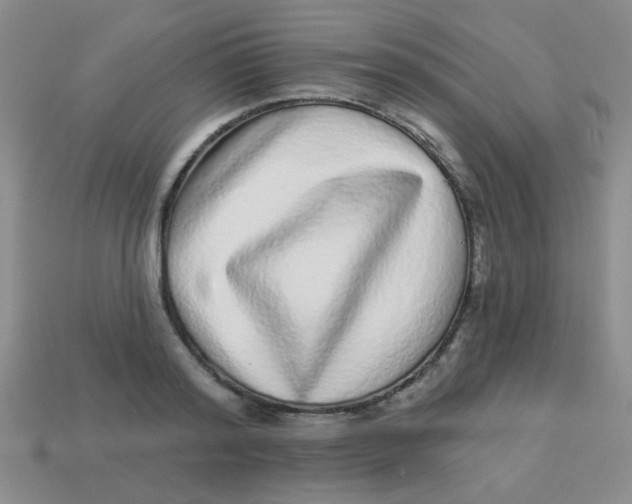 X0000113880796200910151312