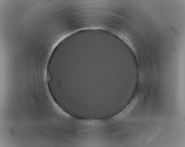 X0000113880797200910151312