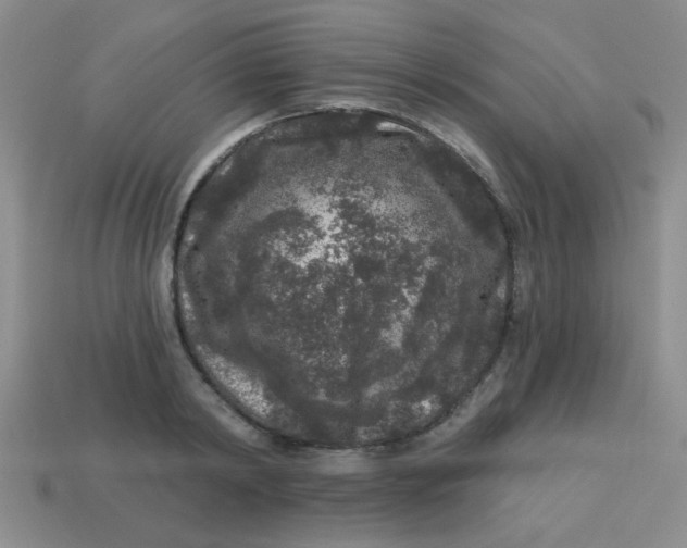 X0000113880798200910151312