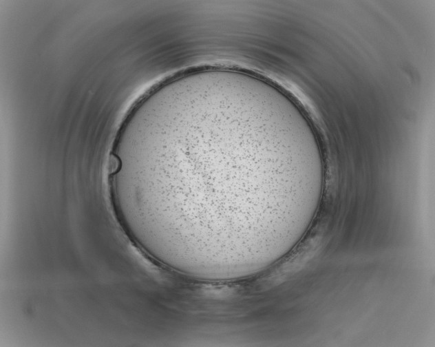 X0000113880799200910151312