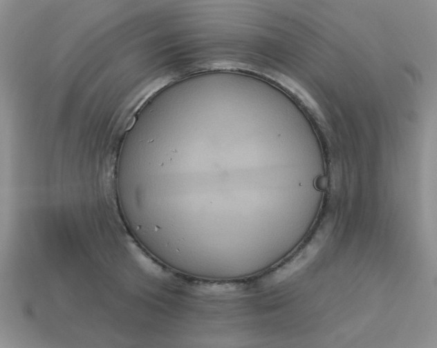 X0000113880801200910151312