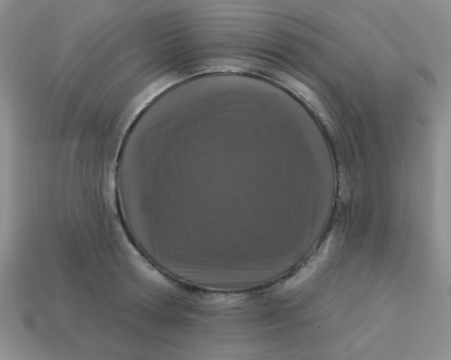 X0000113880802200910151312