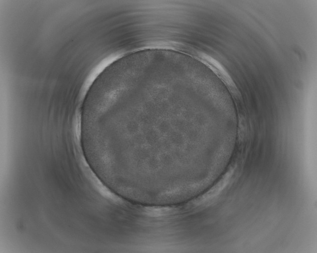 X0000113880804200910151312