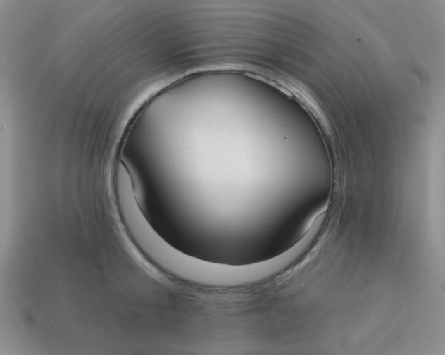 X0000113880805200910151312