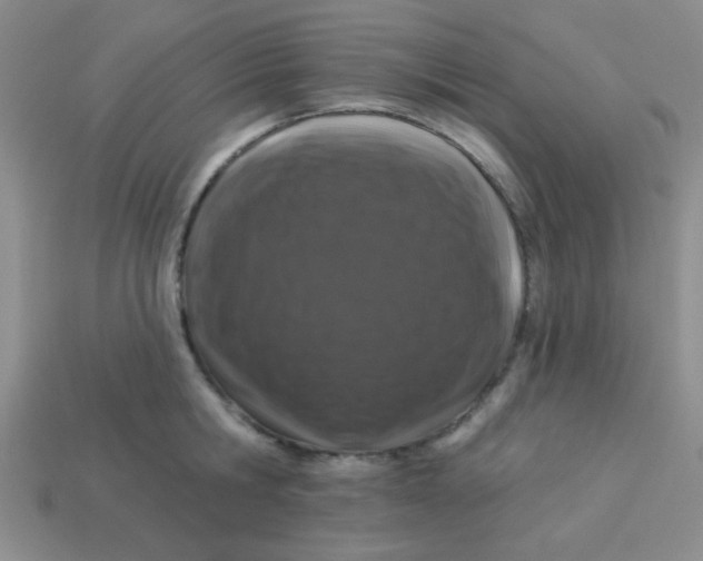 X0000113880806200910151312