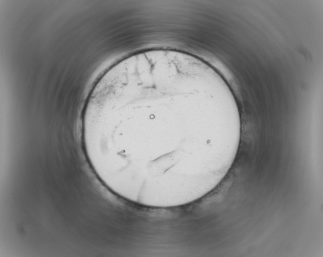 X0000113880807200910151312