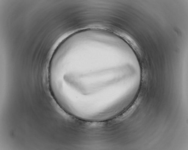 X0000113880808200910151312