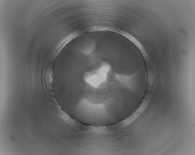 X0000113880809200910151312