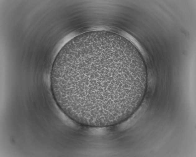 X0000113880810200910151312