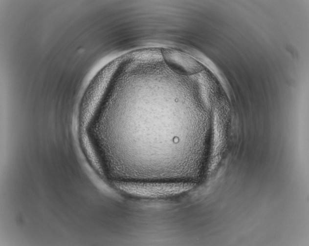 X0000113880811200910151312