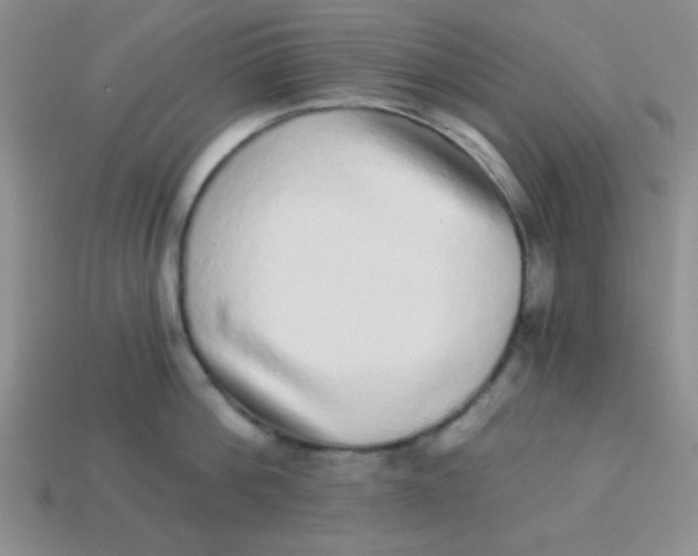 X0000113880812200910151312