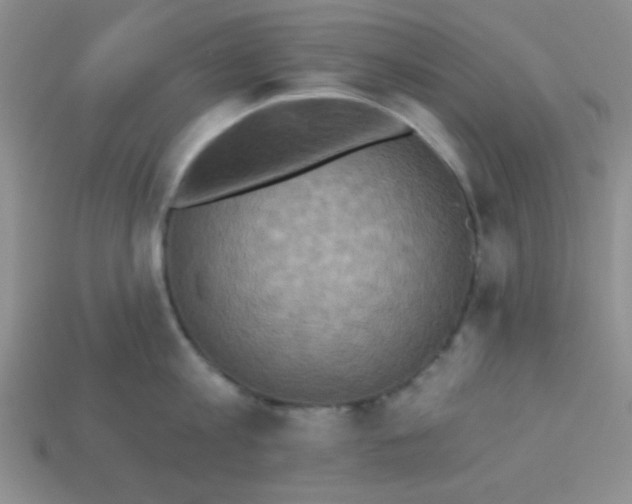 X0000113880813200910151312