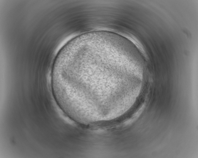 X0000113880814200910151312