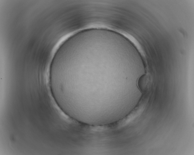 X0000113880815200910151312