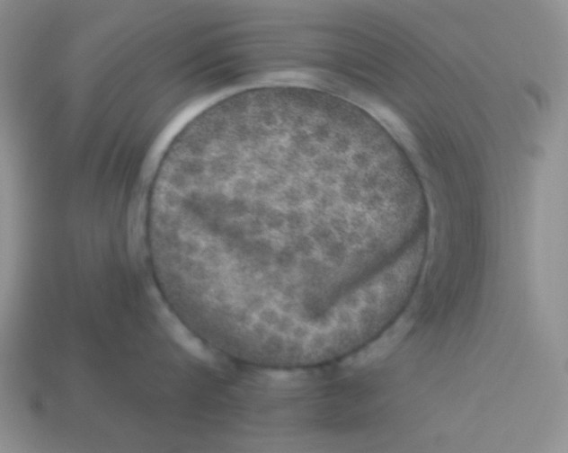 X0000113880816200910151312