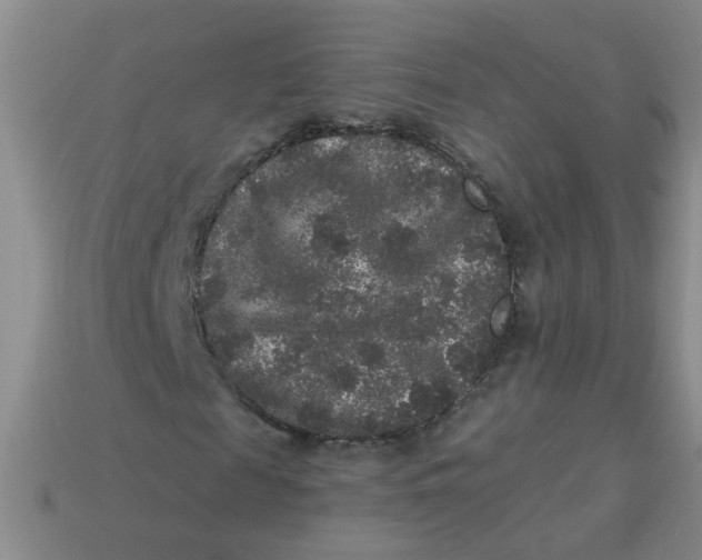 X0000113880817200910151311