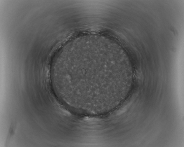 X0000113880818200910151311