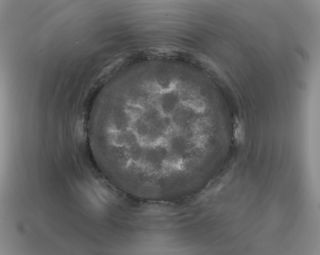 X0000113880819200910151311