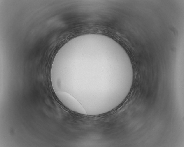 X0000113880820200910151311