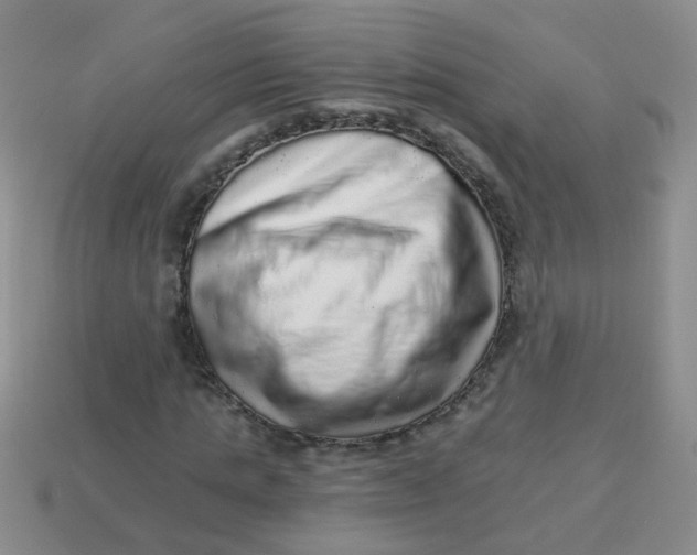 X0000113880821200910151311