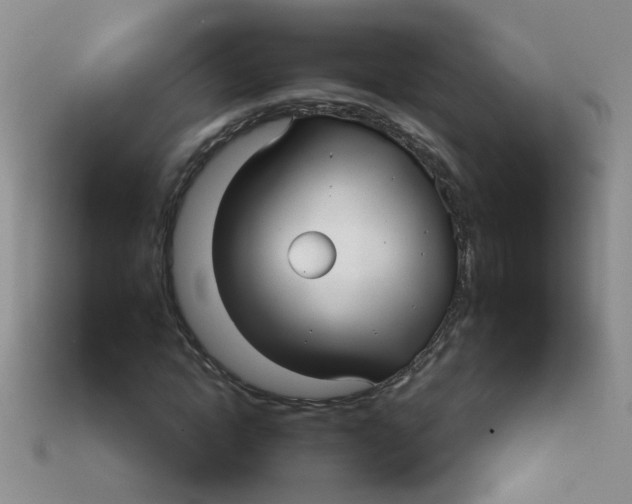 X0000113880822200910151311