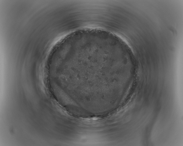 X0000113880823200910151311