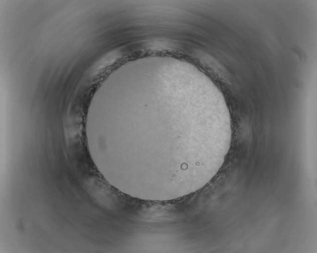 X0000113880824200910151311