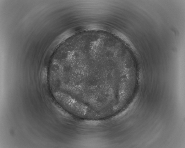 X0000113880825200910151311