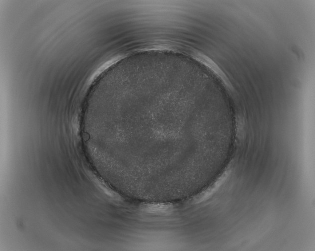 X0000113880826200910151311