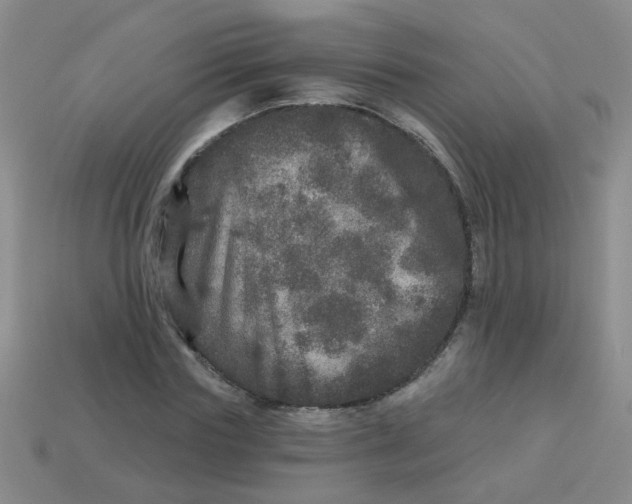 X0000113880827200910151311