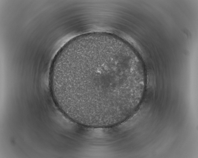 X0000113880828200910151311