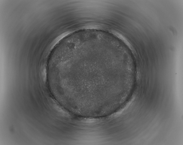 X0000113880829200910151311