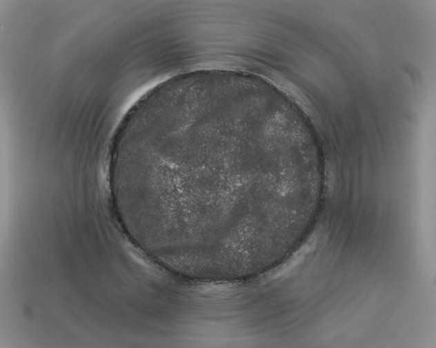 X0000113880830200910151311