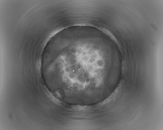 X0000113880831200910151311