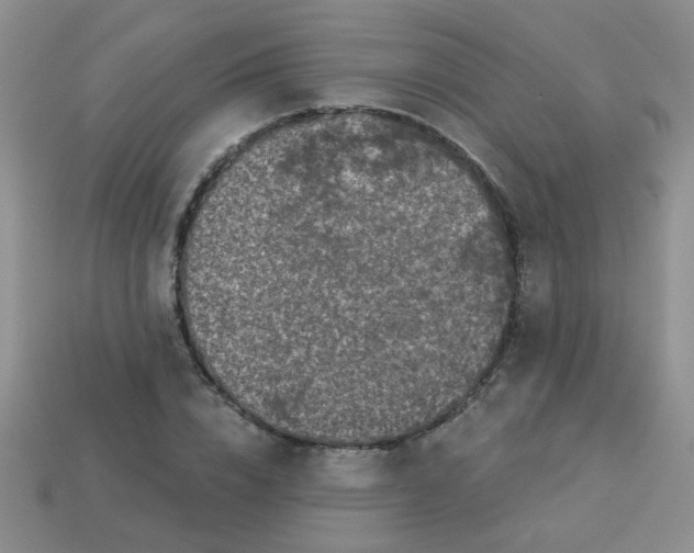 X0000113880832200910151311