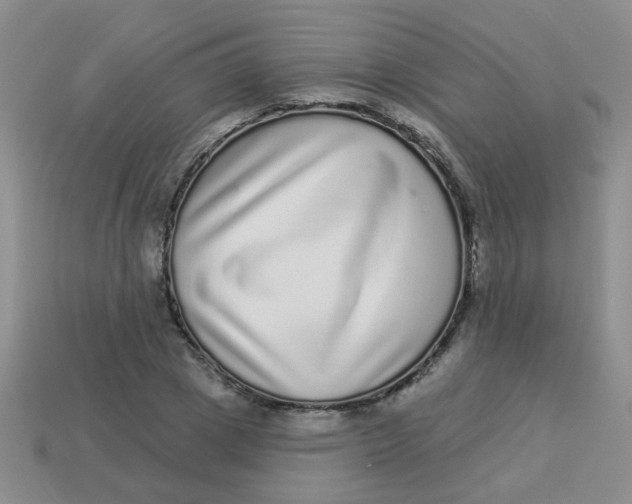 X0000113880833200910151311