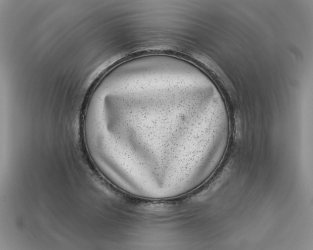 X0000113880834200910151311