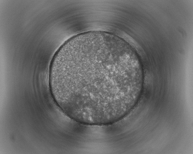 X0000113880836200910151311