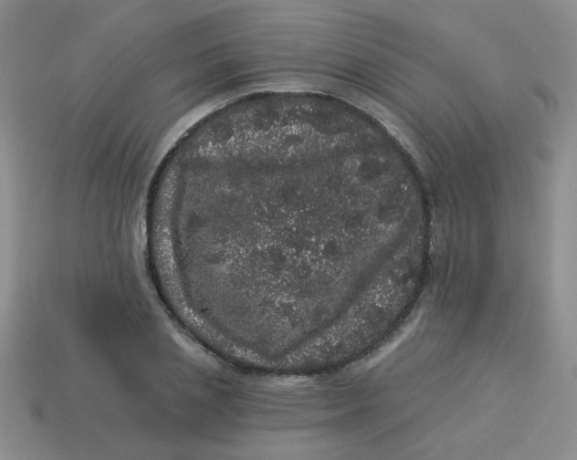 X0000113880837200910151311