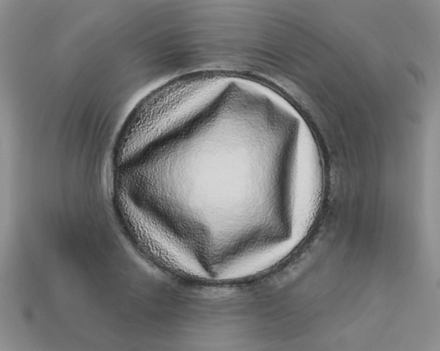 X0000113880838200910151311