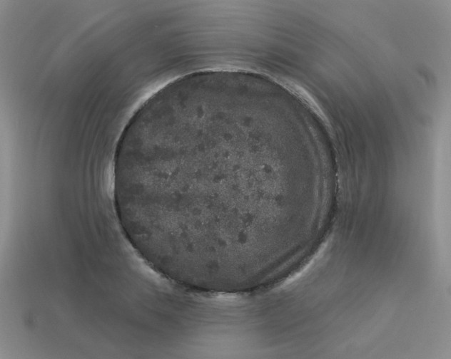 X0000113880839200910151311