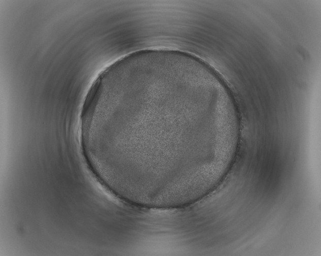 X0000113880840200910151311