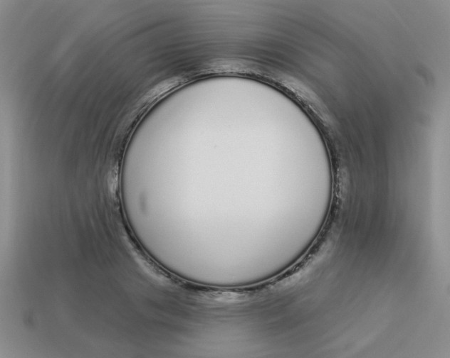 X0000113880841200910151311