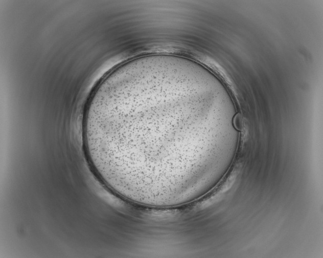 X0000113880843200910151311