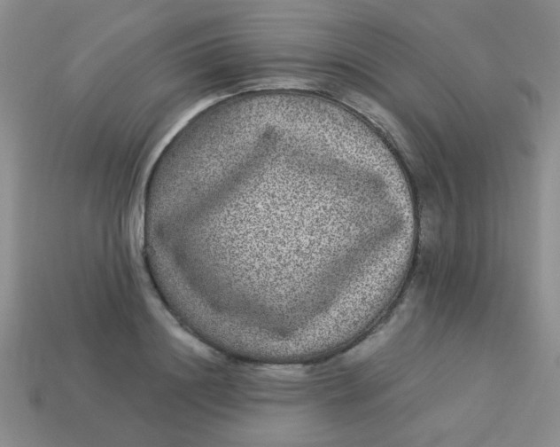 X0000113880844200910151311